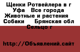 Щенки Ротвейлера в г.Уфа - Все города Животные и растения » Собаки   . Брянская обл.,Сельцо г.